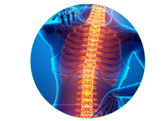 Homeopathy treatment for Ankylosing Spondylitis ​