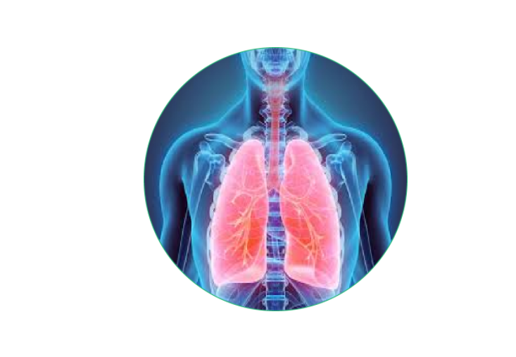 Homeopathy treatment for Asthma in Dubai